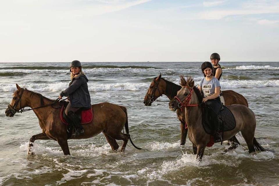 Pod Debami Domki ,Pokoje,Nauka Jazdy Konnej Sarbsk Obok Leby Dış mekan fotoğraf