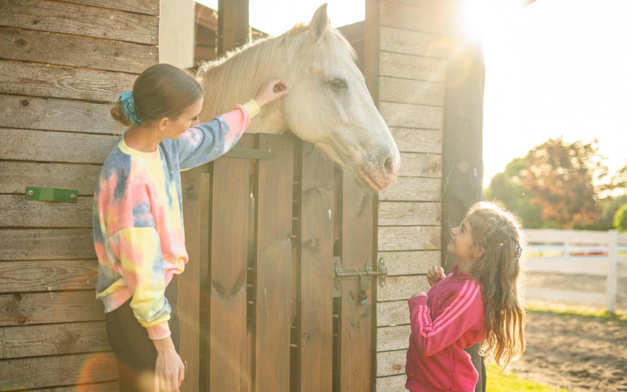Pod Debami Domki ,Pokoje,Nauka Jazdy Konnej Sarbsk Obok Leby Dış mekan fotoğraf