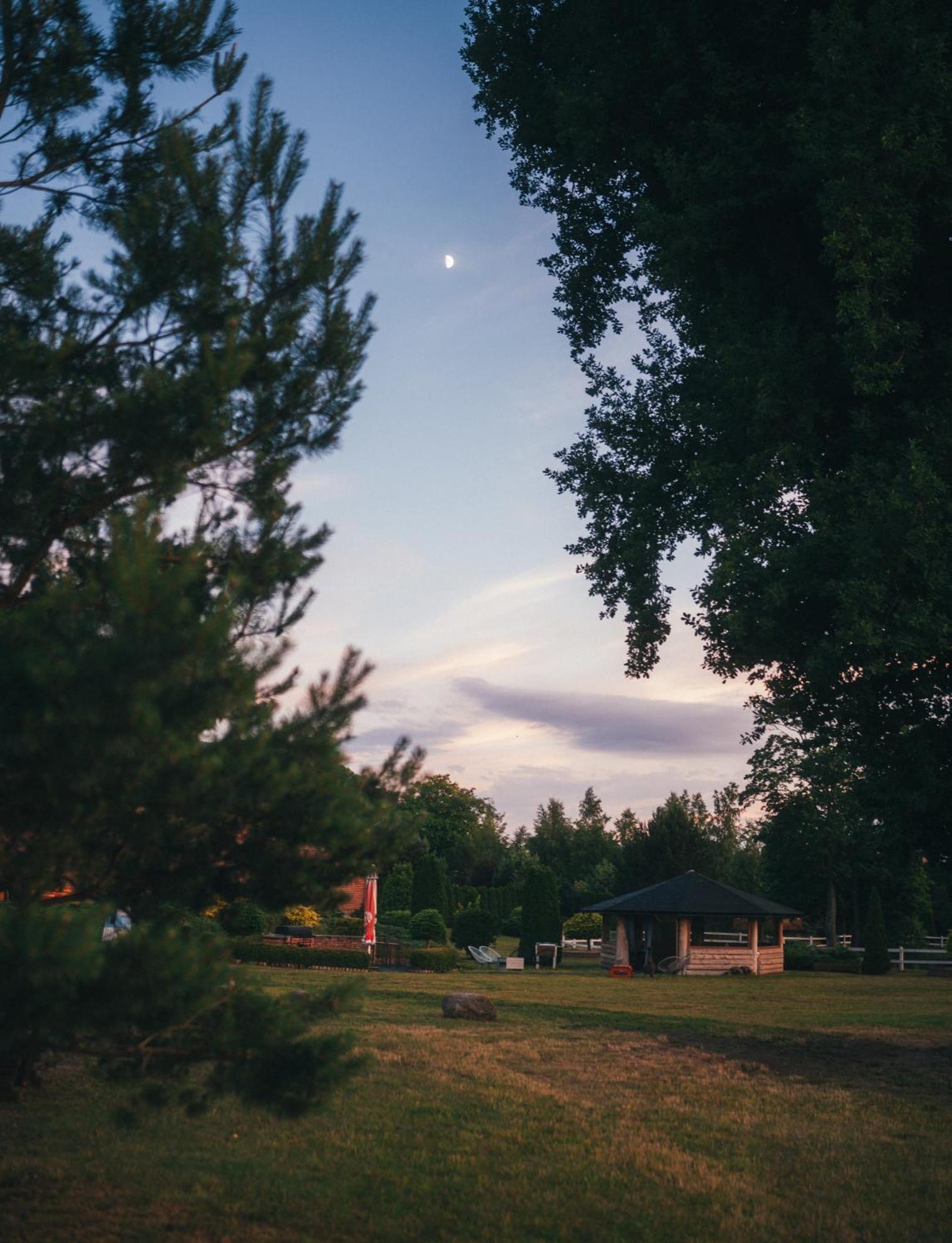 Pod Debami Domki ,Pokoje,Nauka Jazdy Konnej Sarbsk Obok Leby Dış mekan fotoğraf